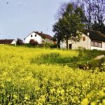 September in Oberschöllenbach