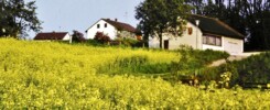 September in Oberschöllenbach